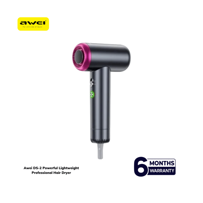 Awei DS-2 Powerful Lightweight Professional Hair Dryer